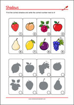 Find the right shadow - Concentration Worksheet