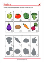 Find the right shadow - Concentration Worksheet