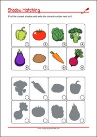 Find the right shadow - Concentration Worksheet