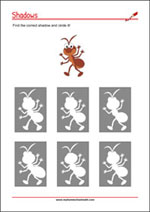 Find the right shadow - Concentration Worksheet