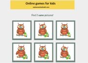 Concentration Game - Find two same pictures