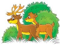 Online Puzzle Game - Deer