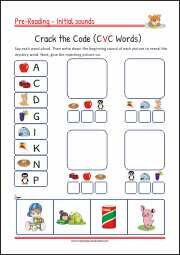Pre-Reading Activities - Crack the Code (CVC) Words - PDF Worksheet