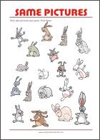 Find two same pictures - Printable Riddle for Kids