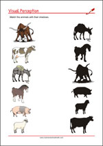 Visual Perception Worksheets - Match the shadows