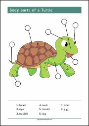 Body Parts Animals Dog, Stork, Turtle, Cow, Learning Reading, Vocabulary