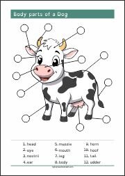 Body Parts Animals Dog, Stork, Turtle, Cow, Learning Reading, Vocabulary