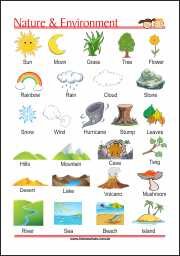 This ABC Letter and Sound Domino Cards