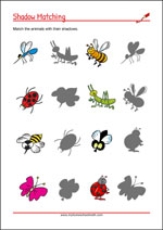 Shadow pictures - Worksheets To Improve Focus And Visual Attention